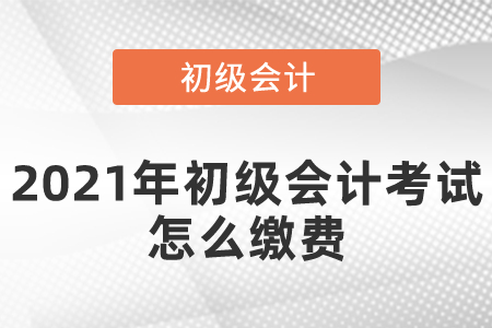 2021年初級會計考試怎么繳費(fèi)