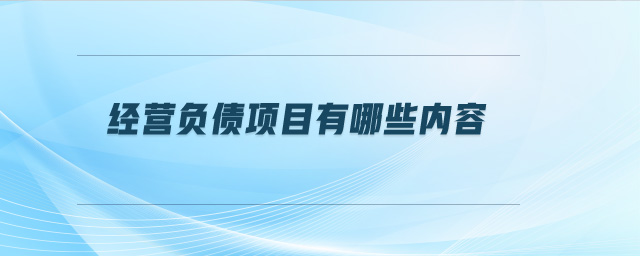 經(jīng)營(yíng)負(fù)債項(xiàng)目有哪些內(nèi)容