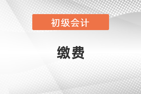 初級會計(jì)考試如何繳費(fèi)