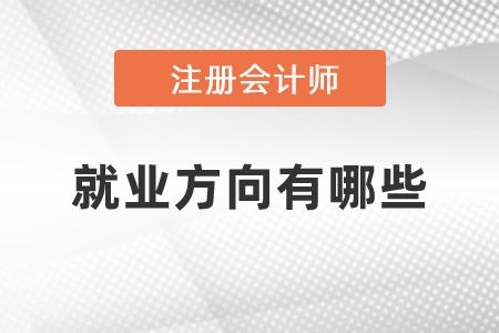 注冊會(huì)計(jì)師就業(yè)方向有哪些