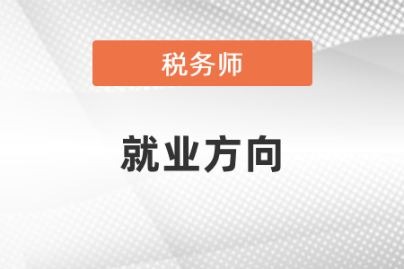 稅務(wù)師和注冊(cè)會(huì)計(jì)師的就業(yè)方向