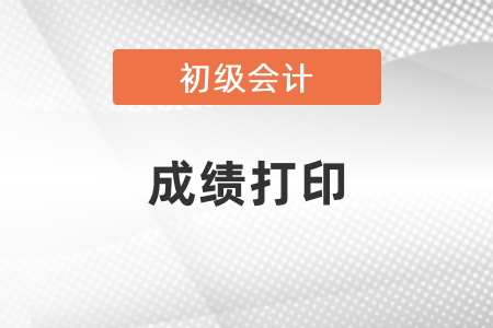 初級(jí)會(huì)計(jì)成績(jī)?cè)谀睦锟梢源蛴? alt=