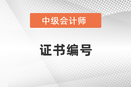 中級(jí)會(huì)計(jì)證書編號(hào)在哪里可以查