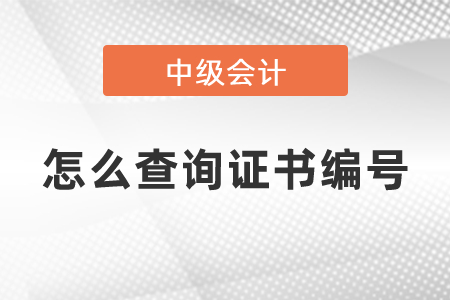 怎么查詢中級會計(jì)師證書編號