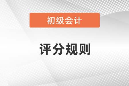 初級(jí)會(huì)計(jì)考試不定項(xiàng)題評分規(guī)則