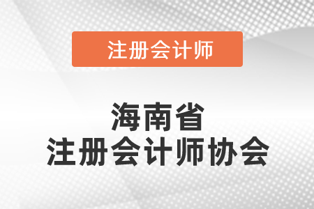海南省儋州市注冊會計師協(xié)會