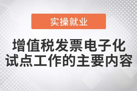 增值稅發(fā)票電子化試點工作的主要內(nèi)容是什么？
