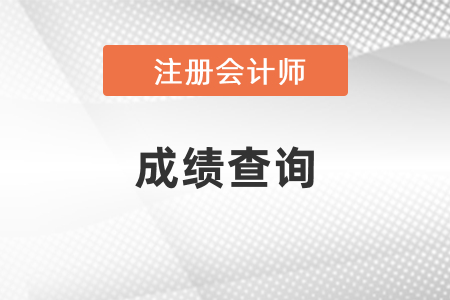 2020年注會(huì)考試成績(jī)查詢