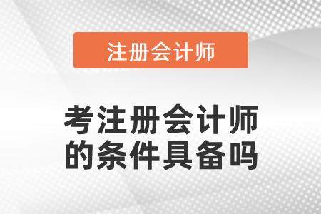 考注冊會計(jì)師的條件具備嗎