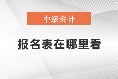 中級(jí)會(huì)計(jì)職稱報(bào)名表在哪里看