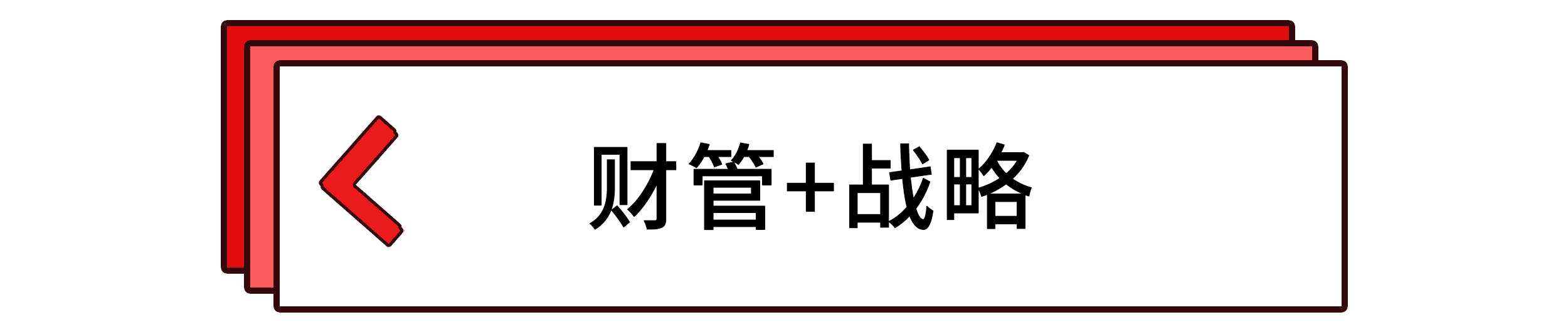 財(cái)管+戰(zhàn)略