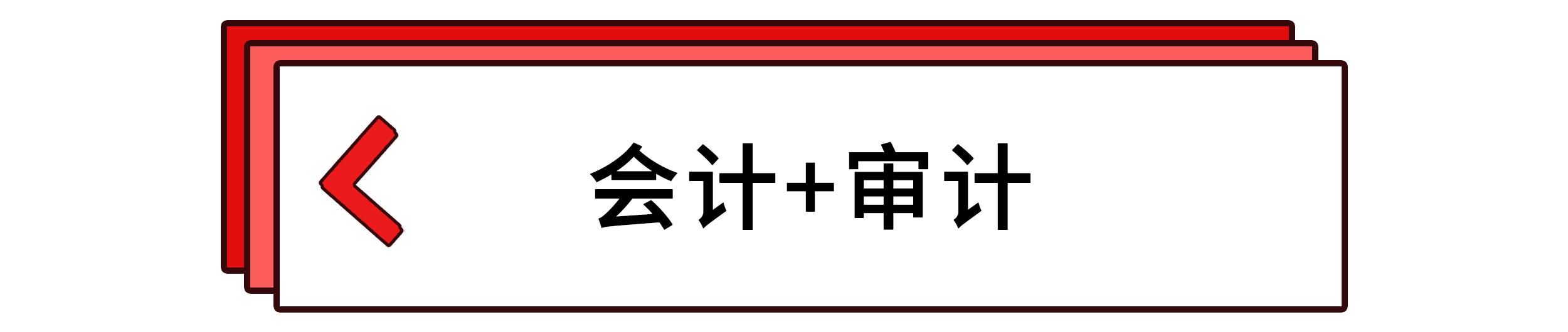 會(huì)計(jì)+審計(jì)