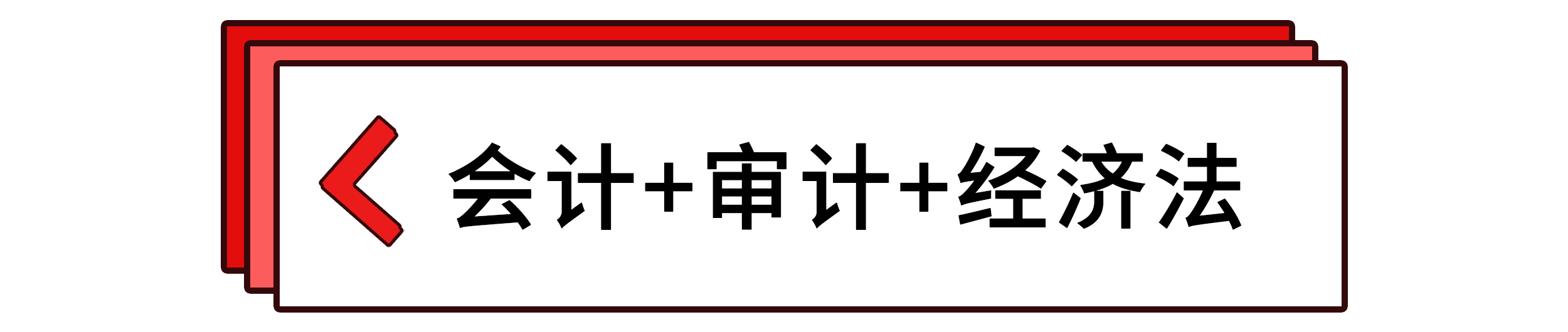 會(huì)計(jì)+審計(jì)+經(jīng)濟(jì)法