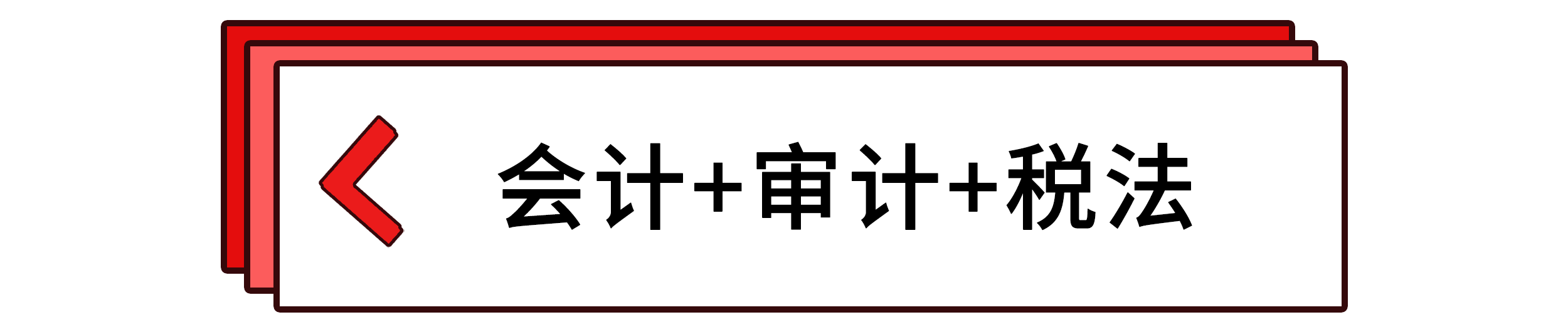 會(huì)計(jì)+審計(jì)+稅法