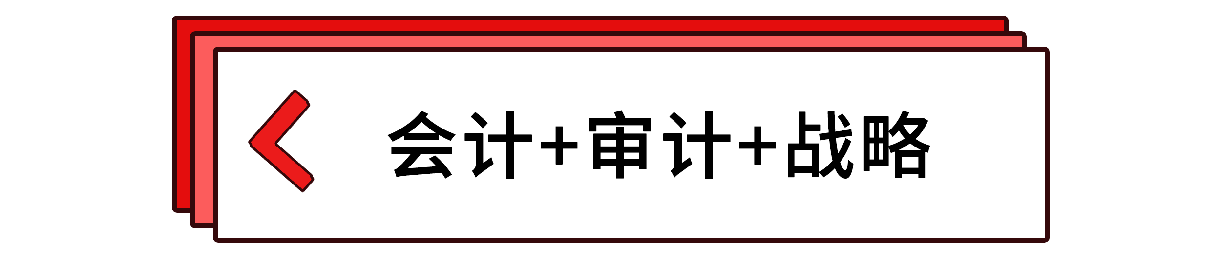 會(huì)計(jì)+審計(jì)+戰(zhàn)略