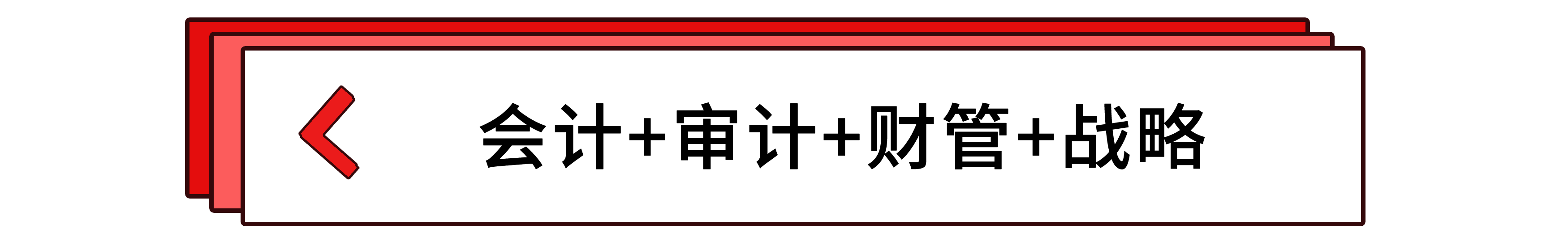 會(huì)計(jì)+審計(jì)+財(cái)管+戰(zhàn)略