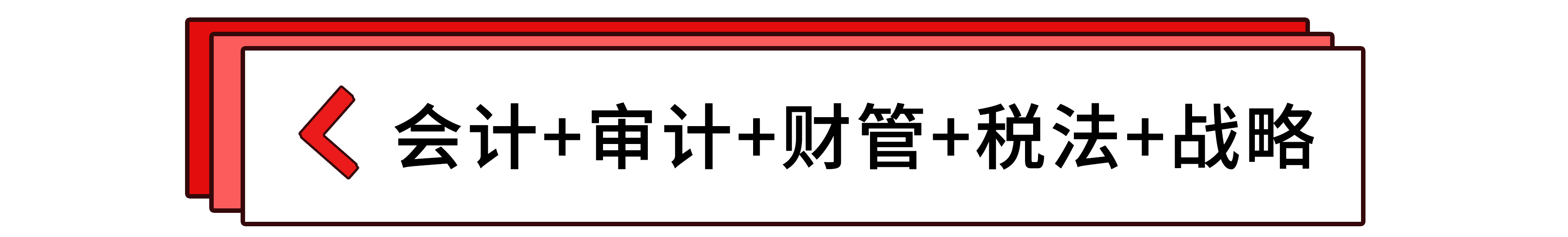 會(huì)計(jì)+審計(jì)+財(cái)管+稅法+戰(zhàn)略