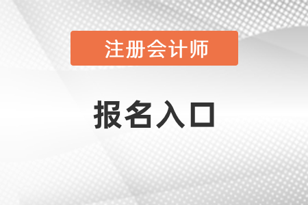 2021年注冊會(huì)計(jì)師考試報(bào)名入口
