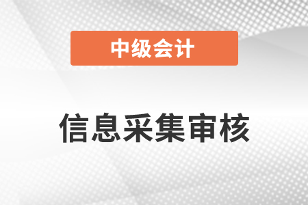 中級(jí)會(huì)計(jì)信息采集審核不通過(guò)怎么辦