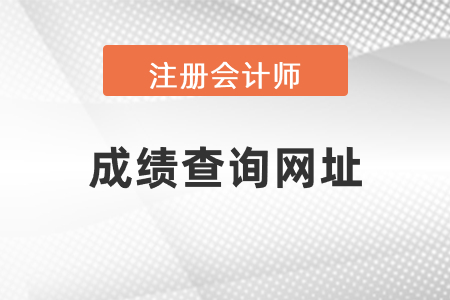 中國注冊會計師成績查詢網(wǎng)址