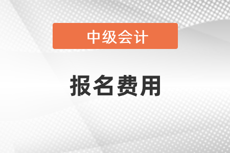 廣東省2022中級(jí)會(huì)計(jì)報(bào)名費(fèi)是多少