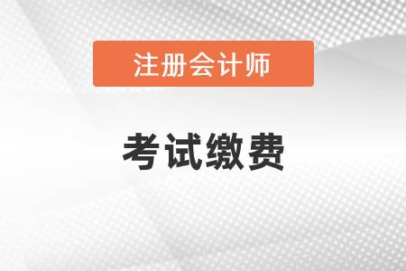 注冊會計師考試?yán)U費多少錢