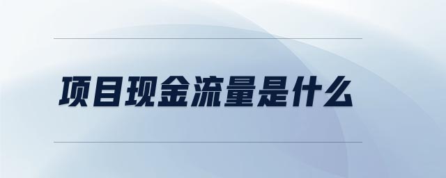 項目現(xiàn)金流量是什么