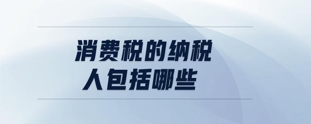 消費(fèi)稅的納稅人包括哪些