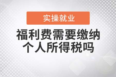 福利費(fèi)需要繳納個(gè)人所得稅嗎？