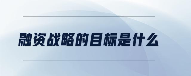 融資戰(zhàn)略的目標(biāo)是什么