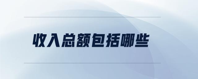 收入總額包括哪些