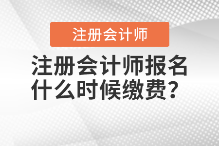 注冊會計師報名什么時候繳費？