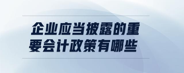 企業(yè)應(yīng)當(dāng)披露的重要會(huì)計(jì)政策有哪些