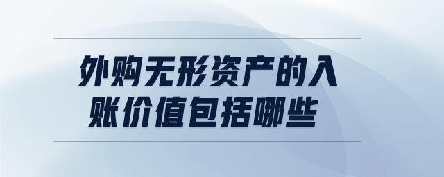 外購無形資產(chǎn)的入賬價值包括哪些