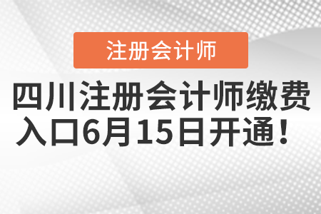 四川省達(dá)州注冊(cè)會(huì)計(jì)師繳費(fèi)入口6月15日開通！