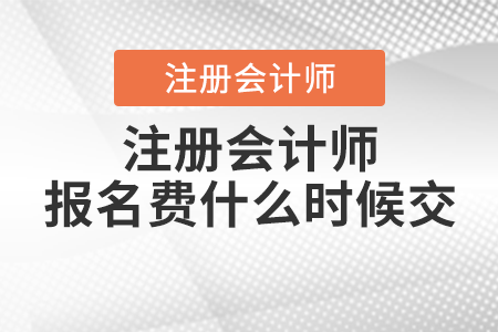注冊會(huì)計(jì)師報(bào)名費(fèi)什么時(shí)候交