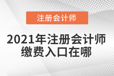 2021年注冊(cè)會(huì)計(jì)師繳費(fèi)入口在哪