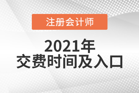 2021年注冊(cè)會(huì)計(jì)師考試?yán)U費(fèi)時(shí)間及入口