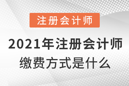 2021年注冊(cè)會(huì)計(jì)師繳費(fèi)方式是什么？