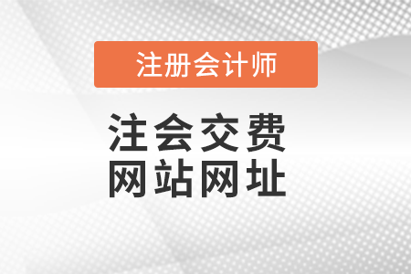 注會交費(fèi)網(wǎng)站網(wǎng)址
