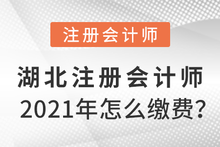 湖北省宜昌2021年注冊會計師怎么繳費？