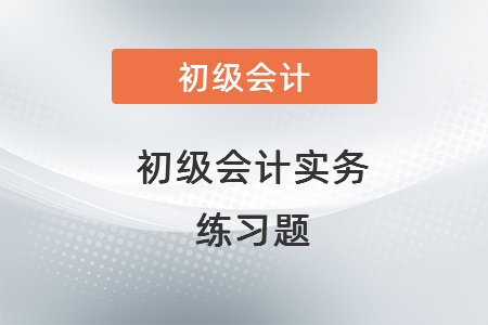 初級會計實務(wù)練習(xí)題