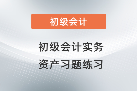 初級會(huì)計(jì)實(shí)務(wù)資產(chǎn)習(xí)題練習(xí)