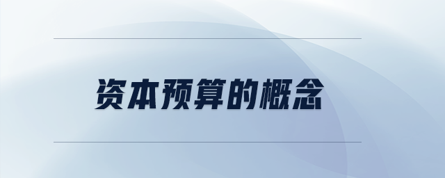 資本預(yù)算的概念