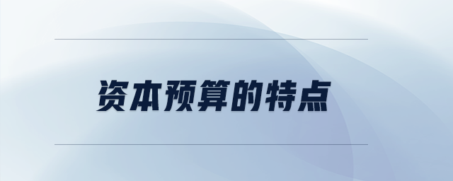 資本預(yù)算的特點(diǎn)