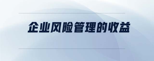企業(yè)風(fēng)險管理的收益