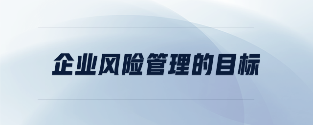 企業(yè)風險管理的目標