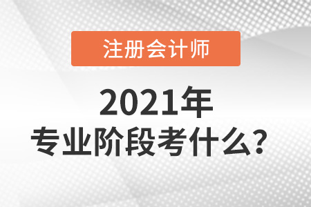 注冊會計(jì)師專業(yè)階段考什么