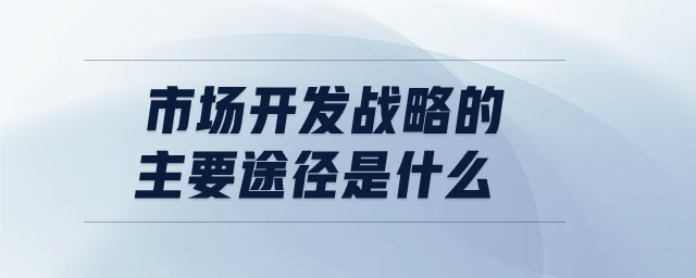 市場開發(fā)戰(zhàn)略的主要途徑是什么