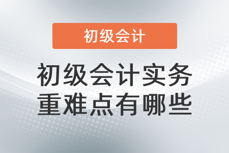 初級會計(jì)實(shí)務(wù)重難點(diǎn)有哪些？
